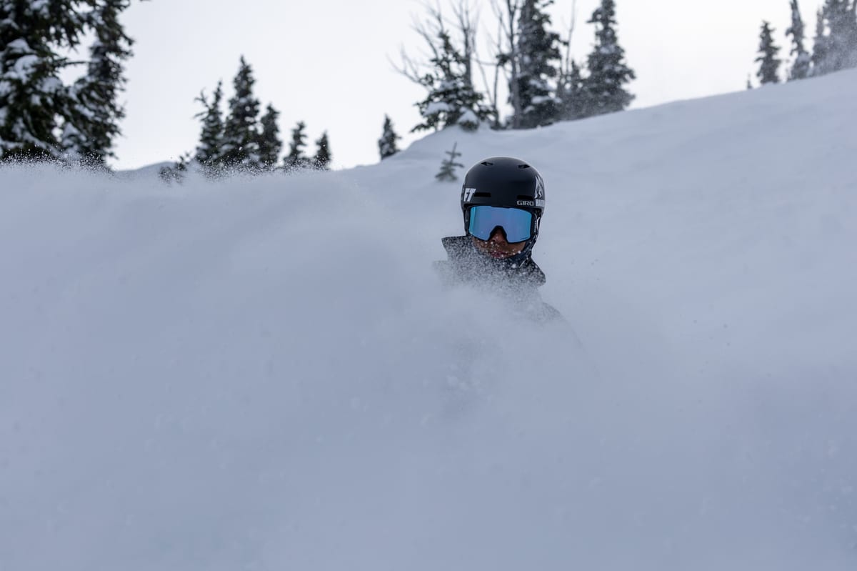 Snow category cover